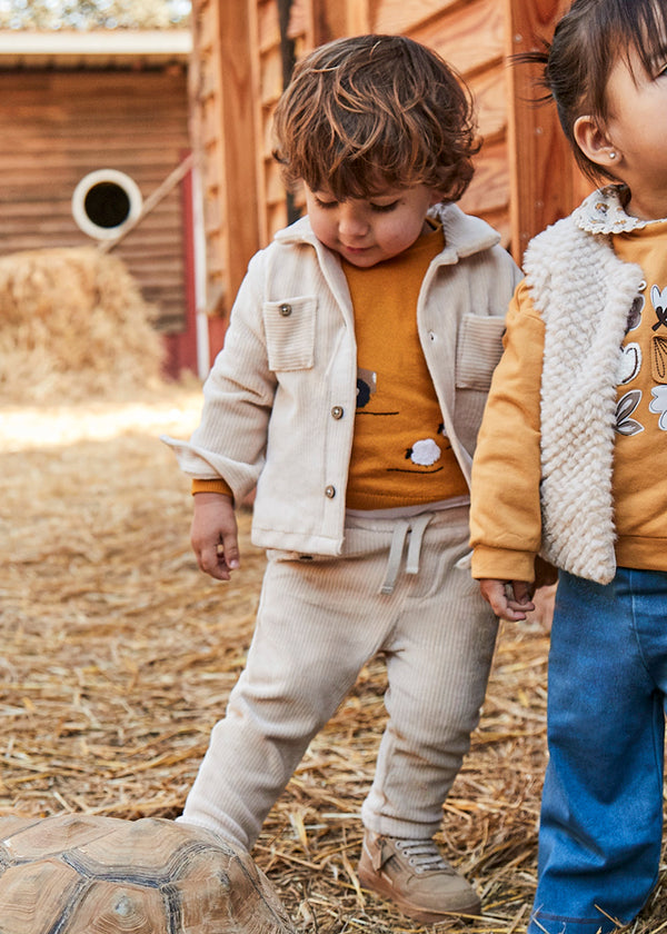 Pantalon punto pana 251011