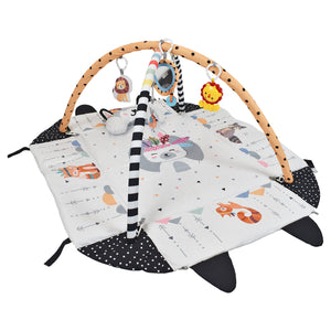 Gimnasio Actividades Con Pelotas Gris Premium Baby PB-302MN
