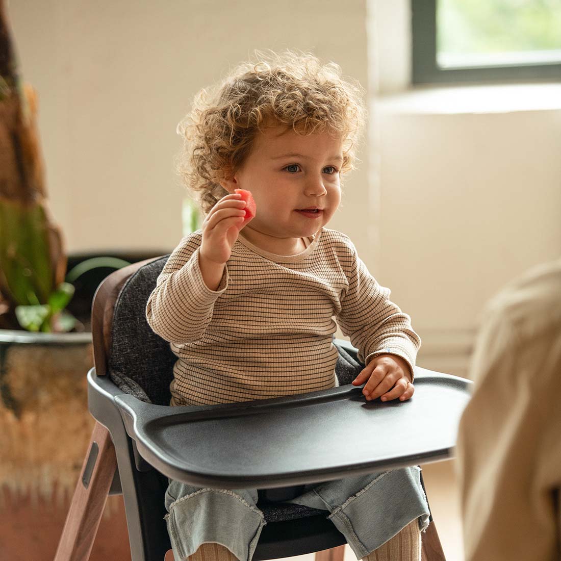 Comedor de bebé nuna BRYN SANDERSON